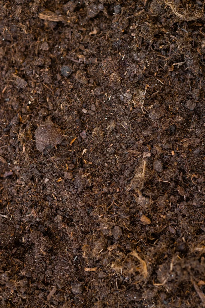 พีทมอสคืออะไร? ประโยชน์ วิธีใช้ และข้อควรระวังในการปลูกพืช 3 พีทมอส (Peat Moss) ความสำคัญ, การใช้งาน และประโยชน์ในเกษตรกรรม